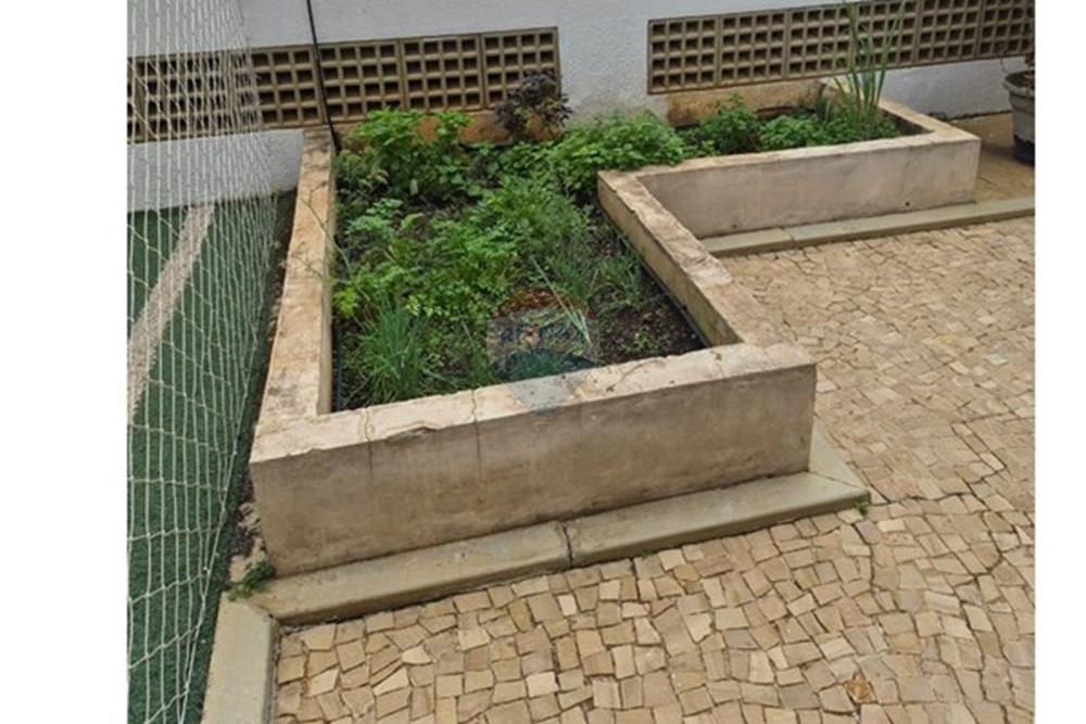 Apartamento - Alugar - Campinas , São Paulo - WhatsApp Image 2026-03-02 at 17.50.25.jpeg - 690681197-33