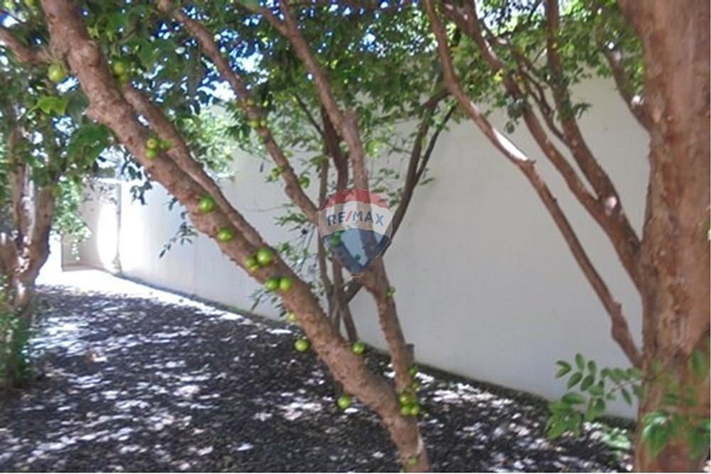 Casa - Alugar - Americana , São Paulo - c62.jpg - 691071028-10