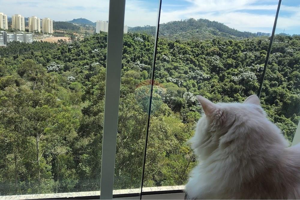 Apartamento - Alugar - Santana de Parnaíba , São Paulo - 20250928_111139.jpg - 691141030-57