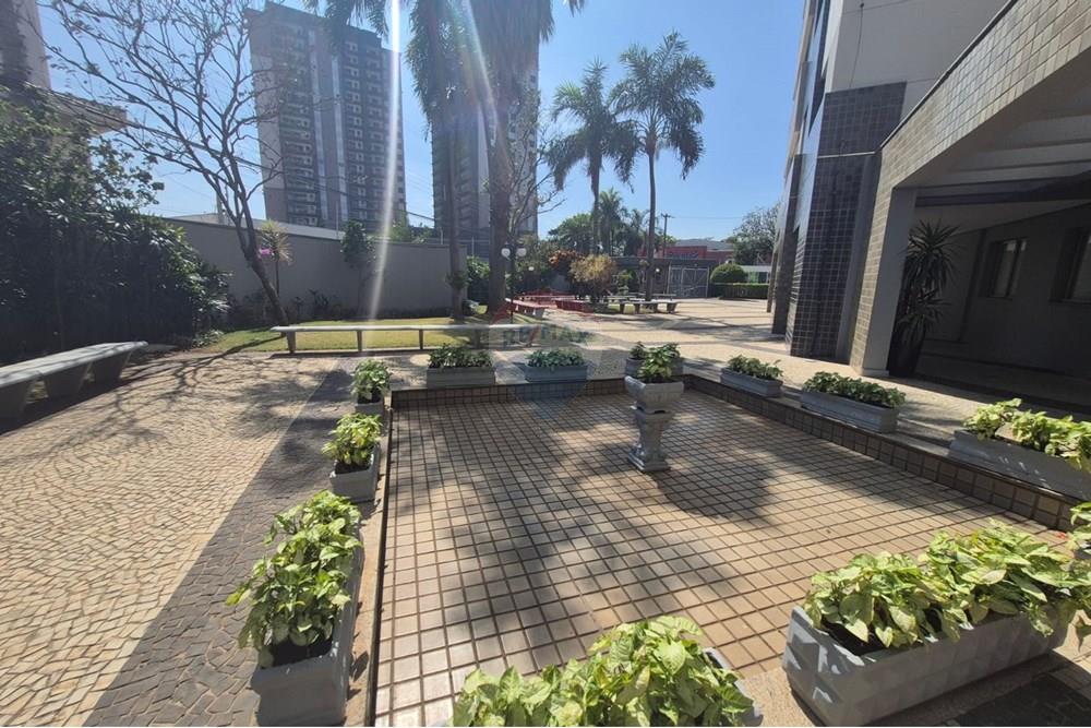 Apartamento - Venda - Campinas , São Paulo - WhatsApp Image 2025-09-25 at 14.15.54 (5).jpeg - 690511202-38