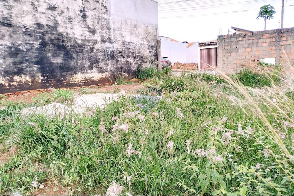 Terreno - Venda - Itapira , São Paulo - 1766266243034.jpg - 690291069-12