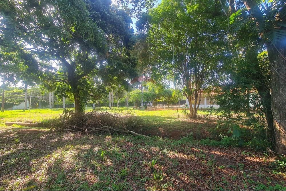 Agro - Alugar - Artur Nogueira , São Paulo - 20251120_155839.jpg - 690671009-93