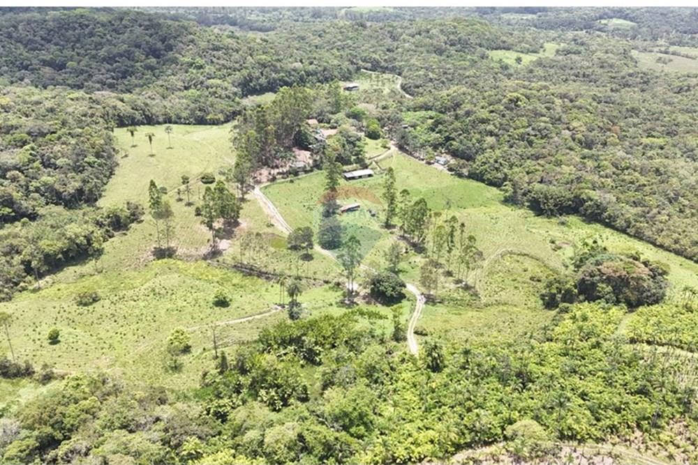 Fazenda - Venda - Pariquera-Açu , São Paulo - WhatsApp Image 2026-03-18 at 16.42.19 (3).jpeg - 690061038-24