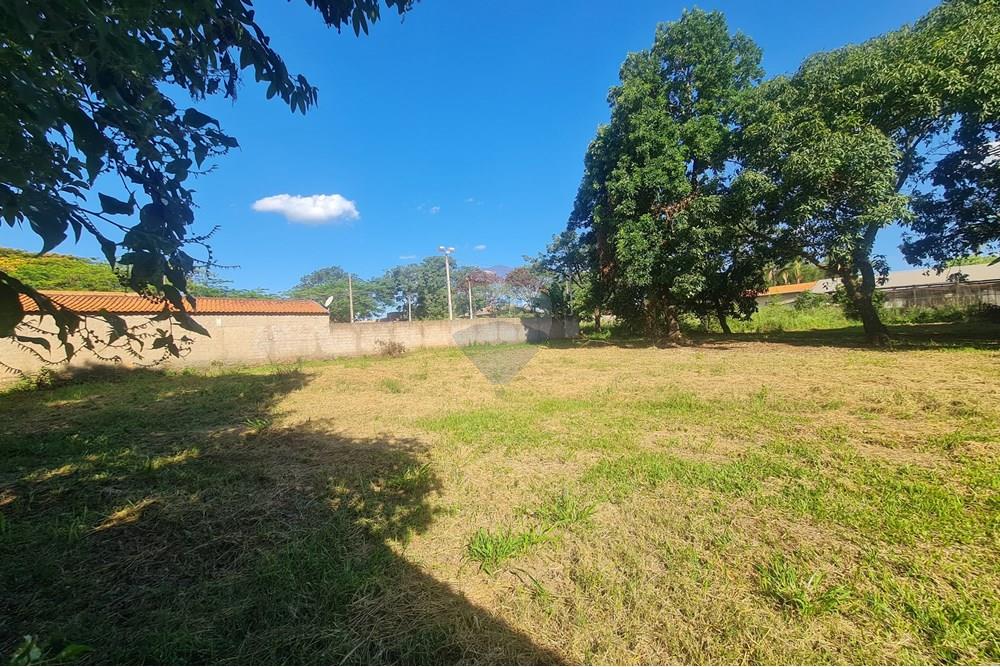 Agro - Alugar - Artur Nogueira , São Paulo - 20251120_160359.jpg - 690671009-93