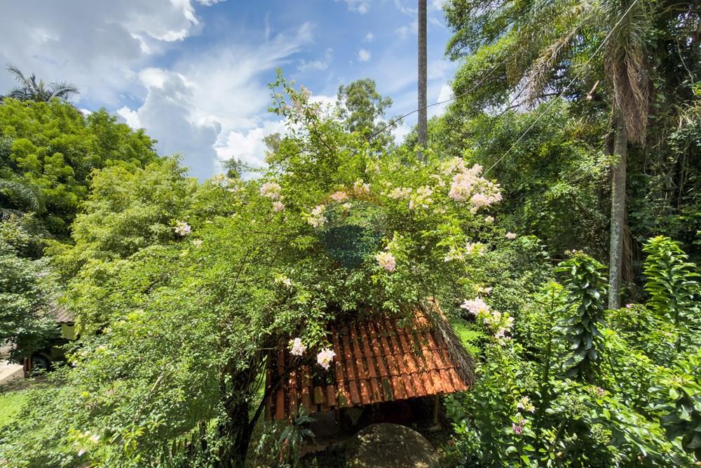 Chácara / Sítio / Fazenda - Venda - Jarinu , São Paulo - IMG_2990.jpg - 690661027-149