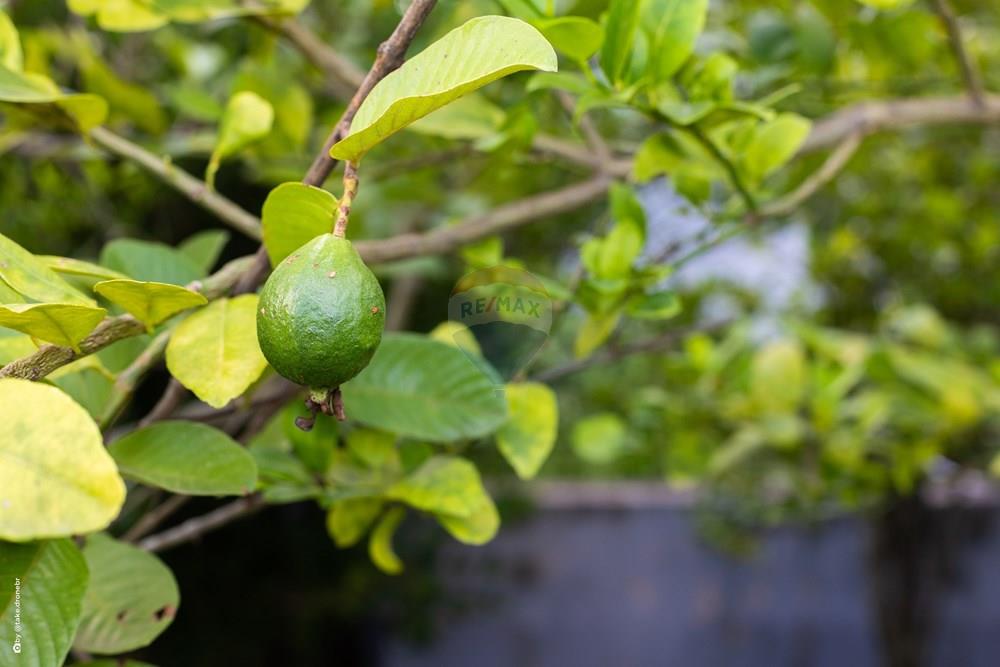 Casa de Condomínio - Venda - Itatiba , São Paulo - TKD-14351.jpg - 690661013-269