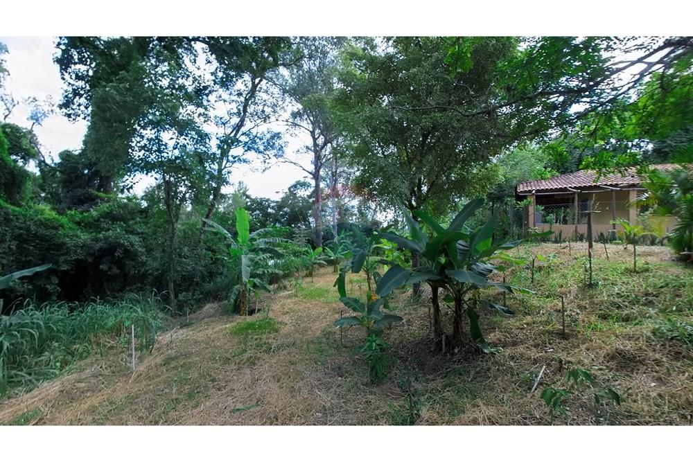 Chácara / Sítio / Fazenda - Venda - Araras , São Paulo - IMG_20250115_155347_00_365_PureShot.jpg - 690691016-236