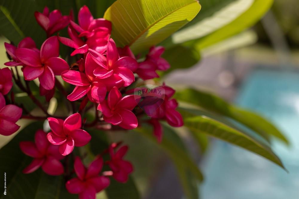 Casa de Condomínio - Venda - Valinhos , São Paulo - TKD-12238.jpg - 690491084-87