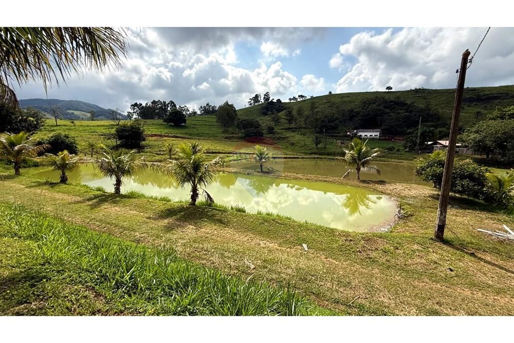 Chácara / Sítio / Fazenda - Venda - Itapira , São Paulo - WhatsApp Image 2025-04-16 at 08.26.52.jpeg - 690751048-152