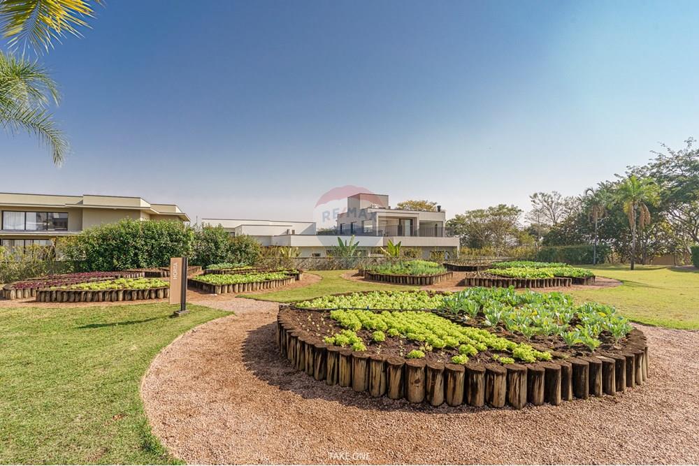 Terreno - Venda - Jaguariúna , São Paulo - DSC03228-HDR.jpg - 690671004-369
