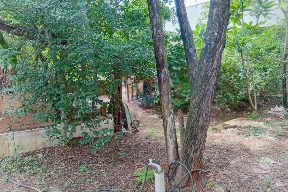 Chácara / Sítio / Fazenda - Venda - Campinas , São Paulo - 7 espaço fundo.jpeg - 690331038-16