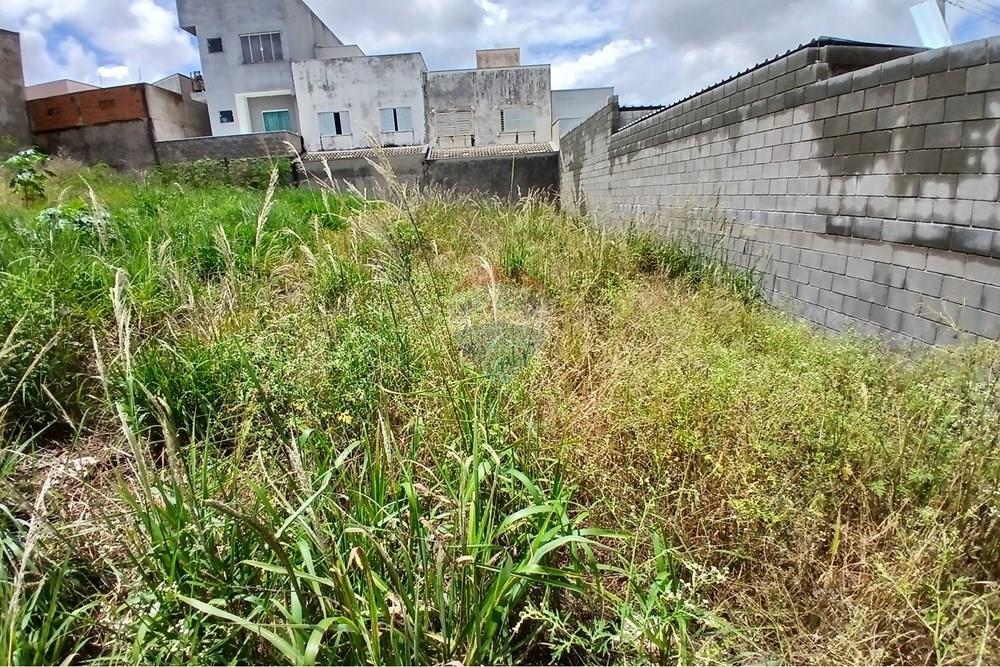 Terreno - Venda - Americana , São Paulo - 20260226_124632.jpg - 691071037-3