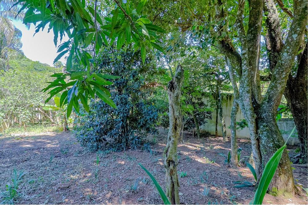 Terreno - Venda - Atibaia , São Paulo - RINF-09.jpg - 690921066-43