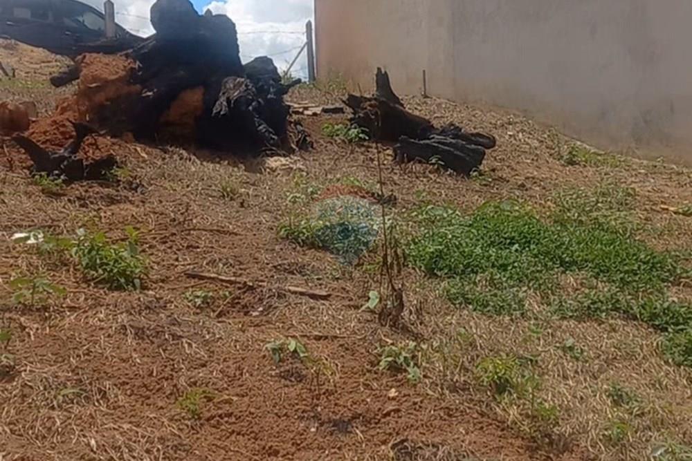 Terreno - Venda - Socorro , São Paulo - Screenshot_20260209_115200_Gallery.jpg - 690041151-29