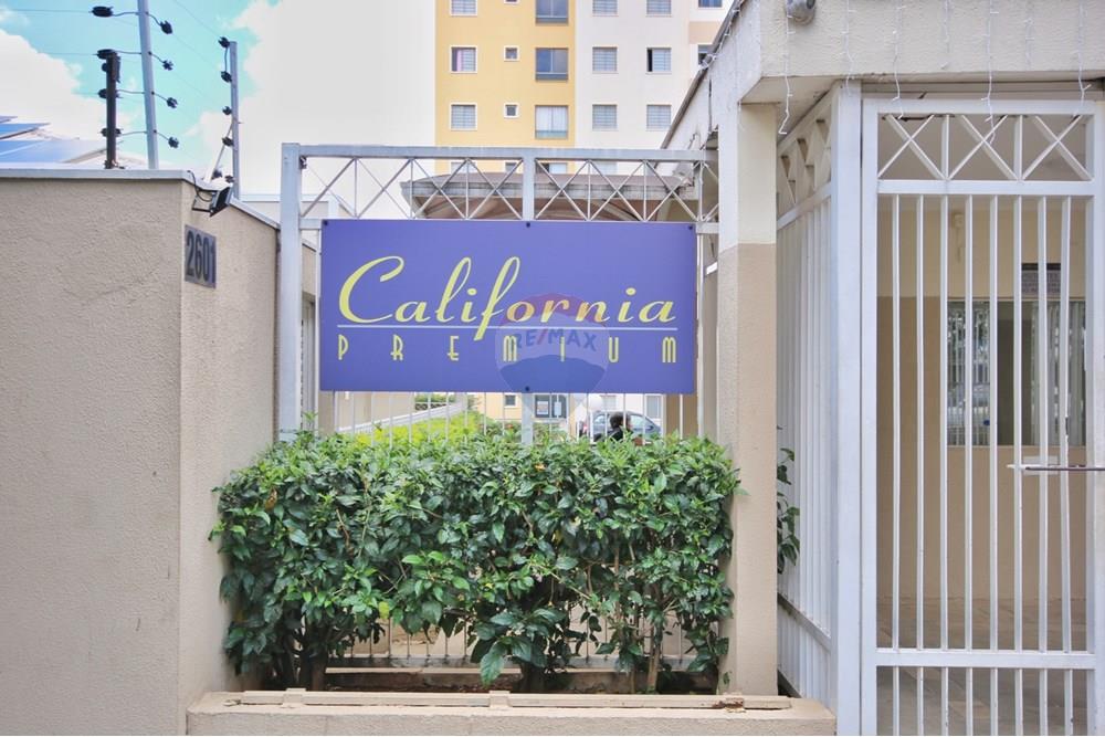 Apartamento - Alugar - Campinas , São Paulo - IMG_2574.jpeg - 690491075-51