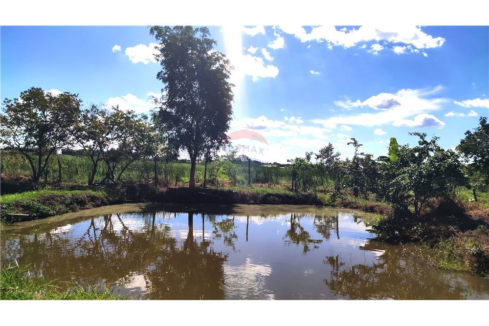 Chácara / Sítio / Fazenda - Venda - Mogi Guaçu , São Paulo - Quintal - 690521015-158