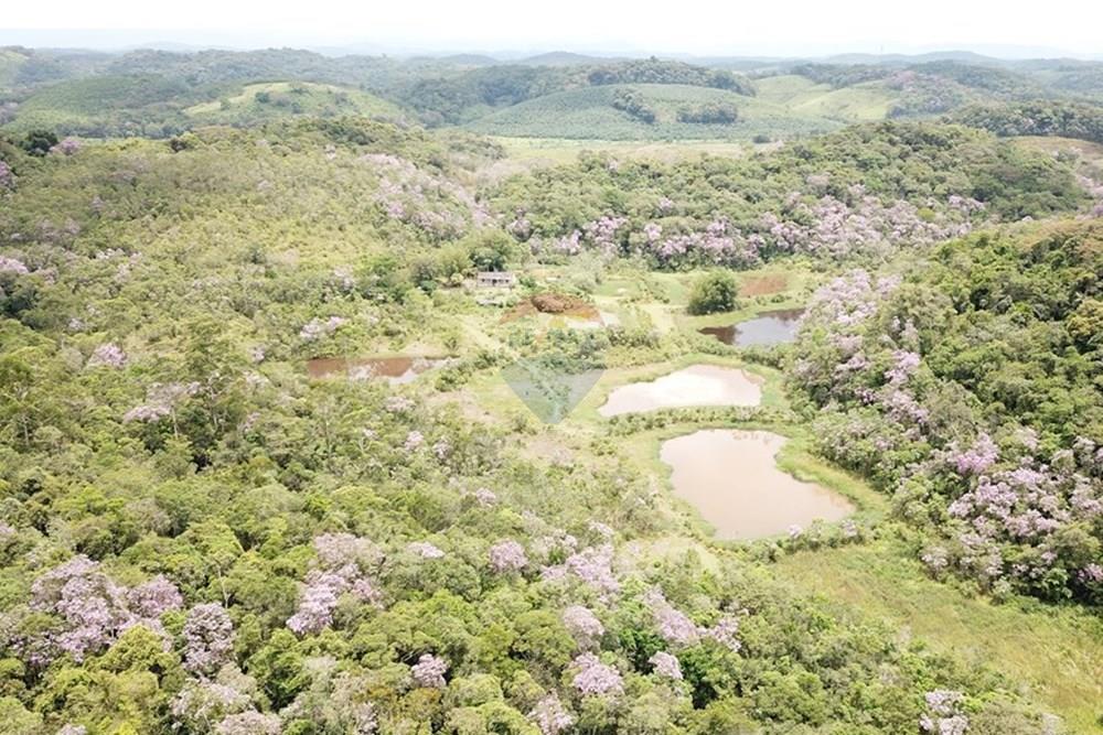 Fazenda - Venda - Registro , São Paulo - DJI_0009.JPG - 690061038-16