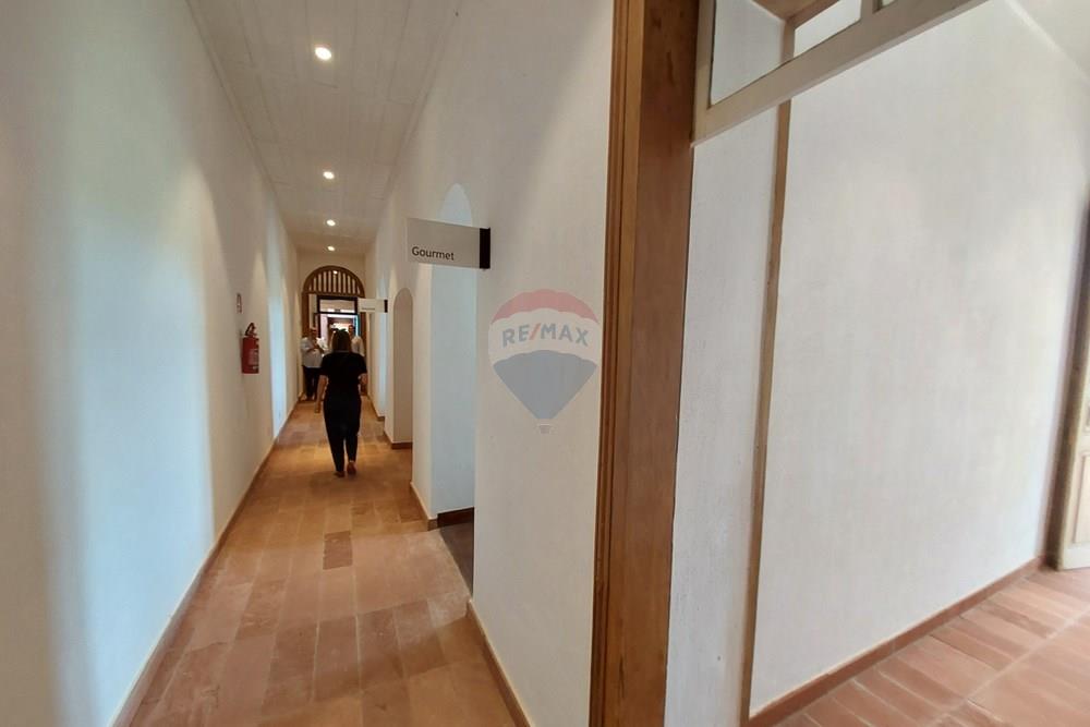 Terreno - Venda - Campinas , São Paulo - 20260128_101740.jpg - 690181001-443