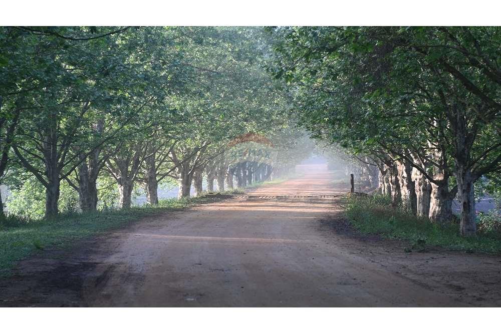 Terreno - Venda - Itatiba , São Paulo - WhatsApp Image 2024-06-14 at 16.08.45 (1).jpeg - 690661026-161