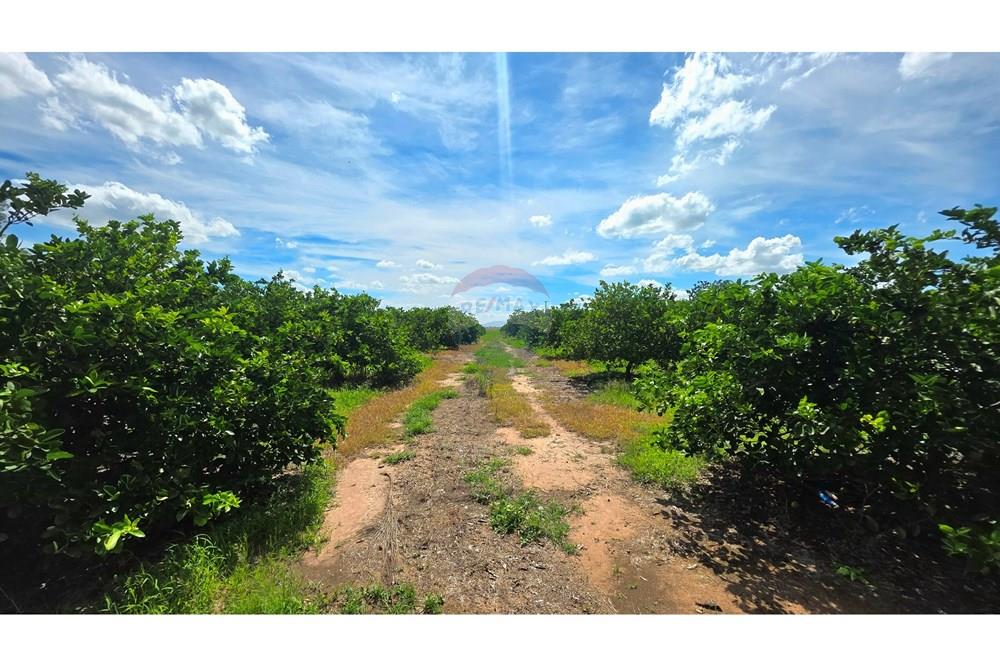 Chácara / Sítio / Fazenda - Venda - Mogi Mirim , São Paulo - 20251211_142104.jpg - 690751019-444