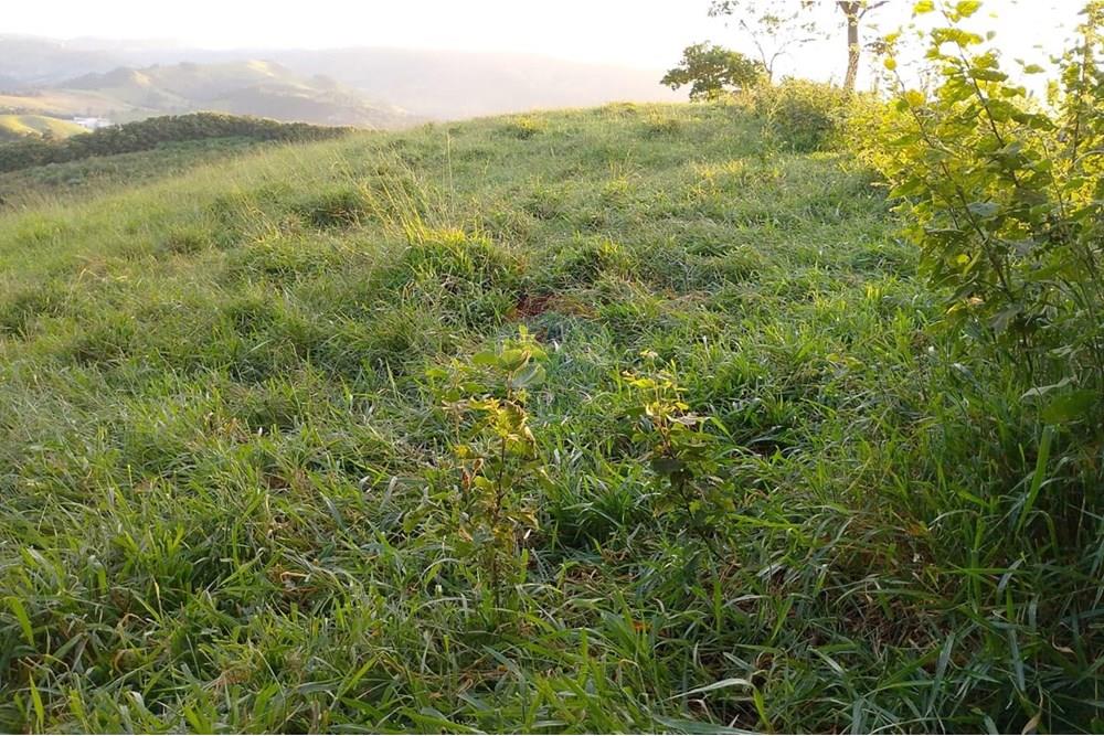 Terreno - Venda - Lindóia , São Paulo - IMG-20250507-WA0030.jpg - 690291056-36