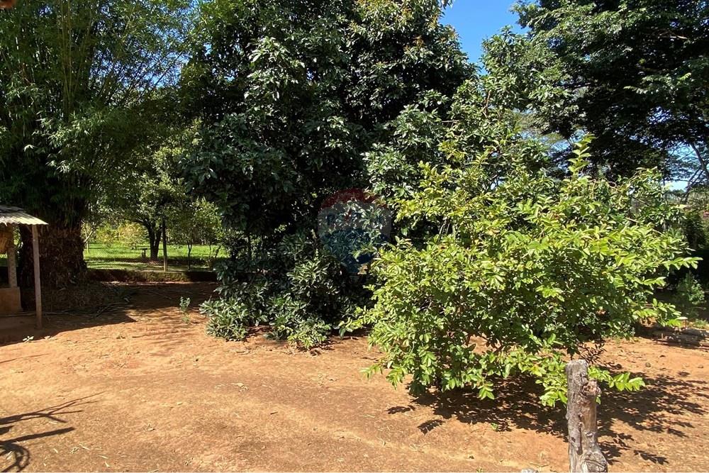 Chácara / Sítio / Fazenda - Venda - Jarinu , São Paulo - Z31.JPEG - 691121003-48