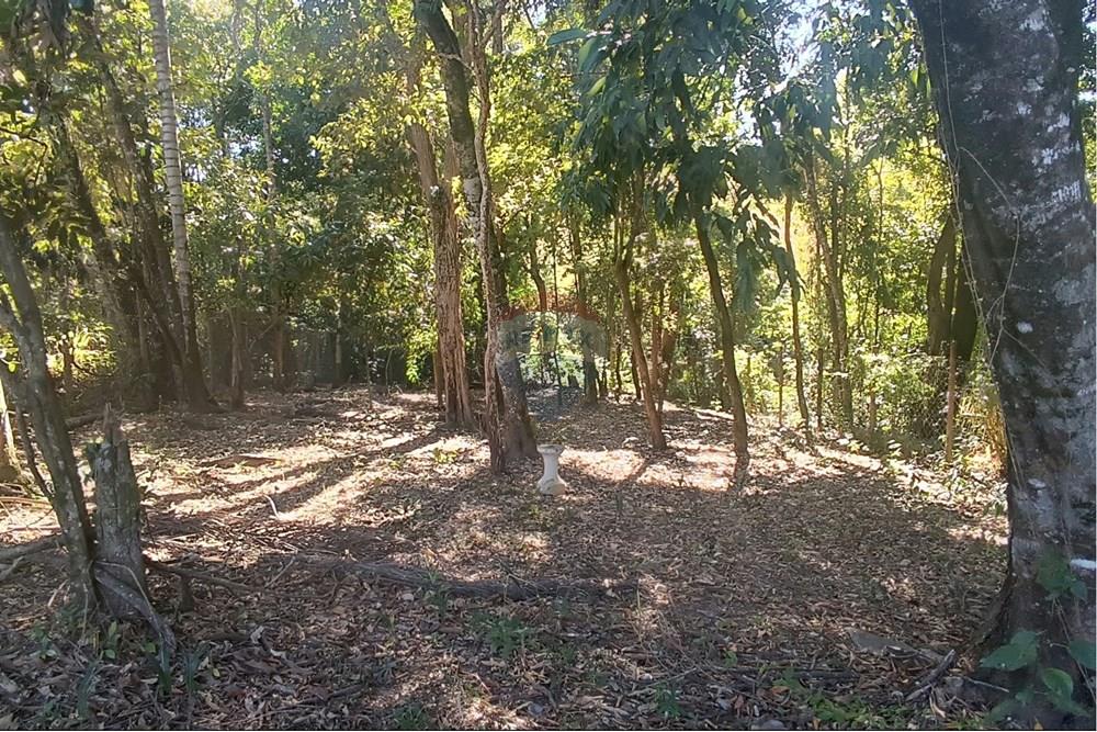 Terreno - Venda - Jaguariúna , São Paulo - 20.JPG - 690671070-9