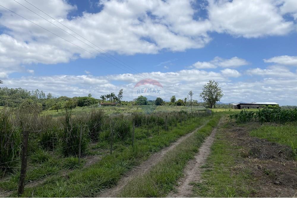 Fazenda - Venda - Iguape , São Paulo - IMG_5990.jpg - 690061038-14