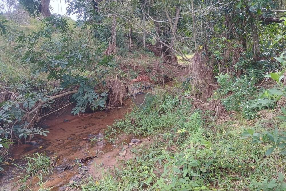 Chácara / Sítio / Fazenda - Venda - Santa Maria da Serra , São Paulo - feabd40a-1a52-4af8-9d25-eea46c0028d0.jpg - 690571076-32