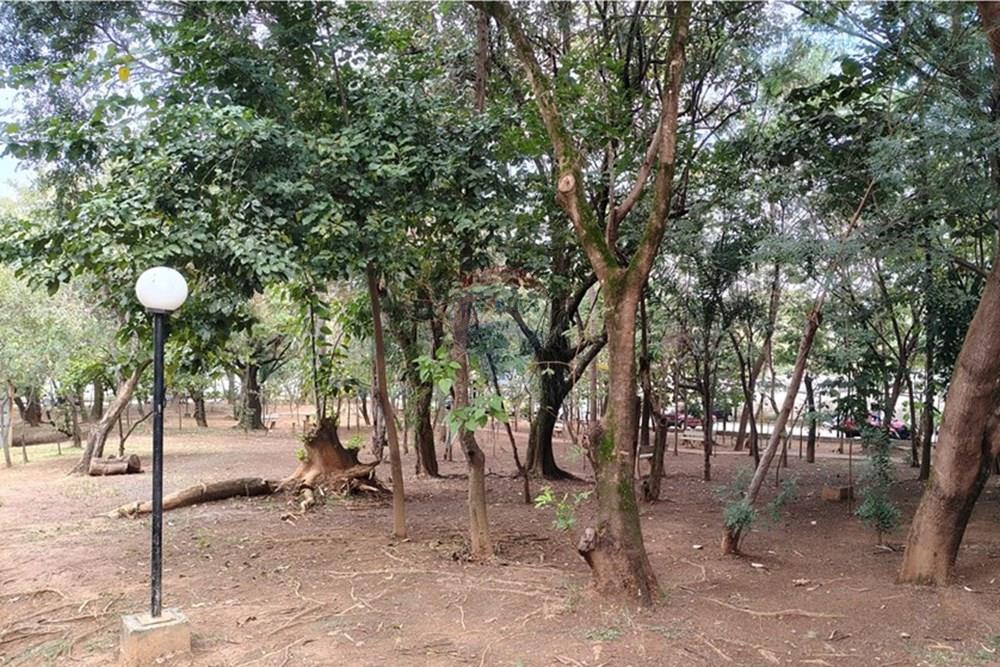 Apartamento - Alugar - Americana , São Paulo - WhatsApp Image 2025-06-27 at 15.56.12 (1).jpeg - 690641045-546