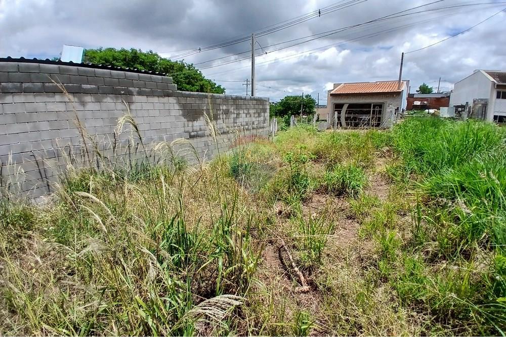 Terreno - Venda - Americana , São Paulo - 20260226_124531.jpg - 691071037-3