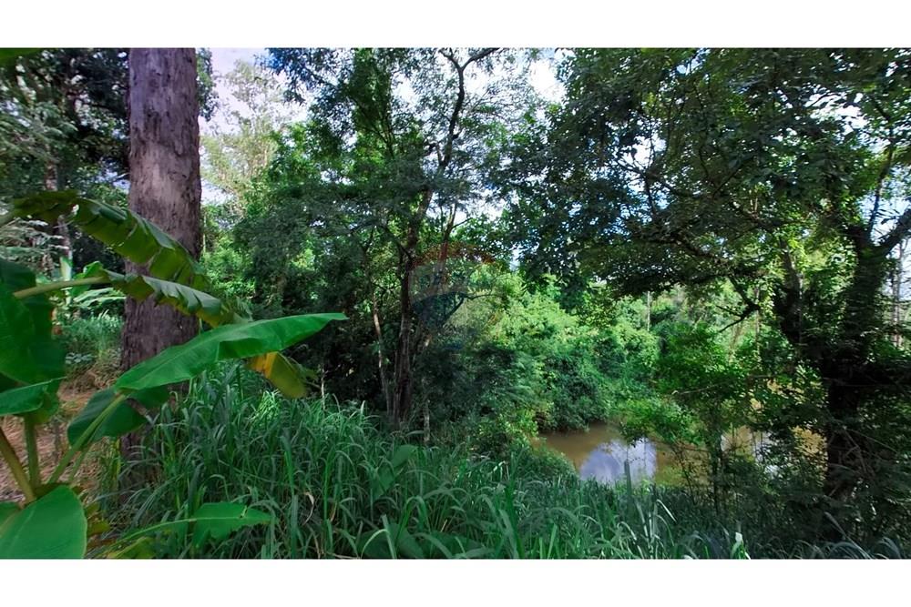 Chácara / Sítio / Fazenda - Venda - Araras , São Paulo - IMG_20250115_160556_00_392_PureShot.jpg - 690691016-236