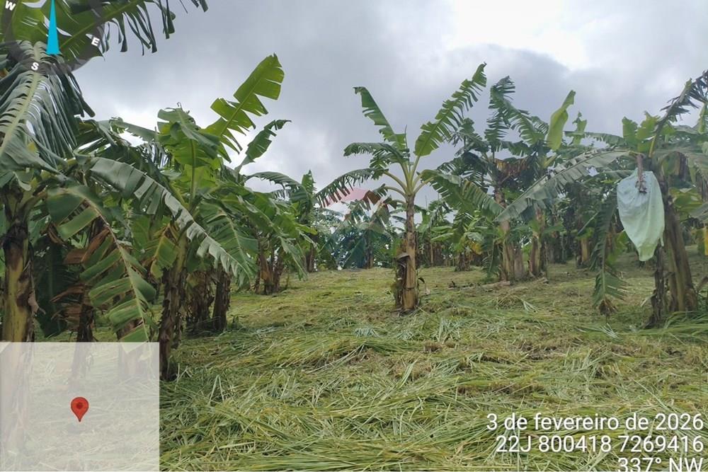 Fazenda - Venda - Jacupiranga , São Paulo - WhatsApp Image 2026-03-02 at 20.10.37.jpeg - 690061037-12