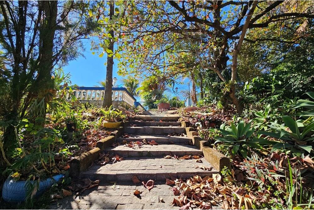 Chácara / Sítio / Fazenda - Venda - Serra Negra , São Paulo - photo_2025-08-10_17-01-41.jpg - Quintal - 690291048-138