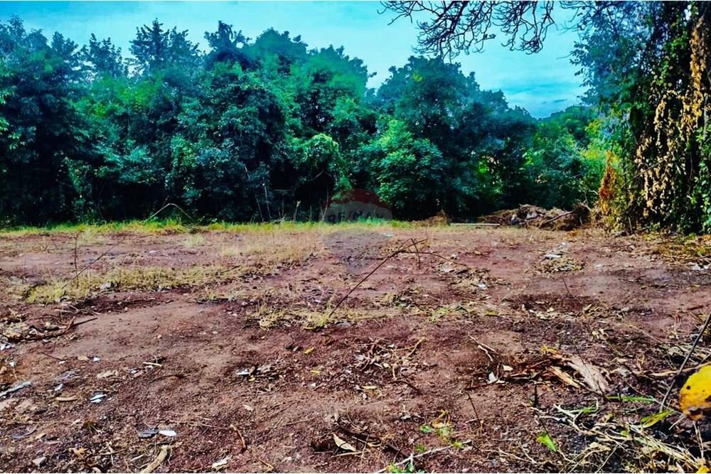 Terreno - Venda - Rio Claro , São Paulo - WhatsApp Image 2025-06-05 at 23.10.44 (6).jpeg - 690811057-24