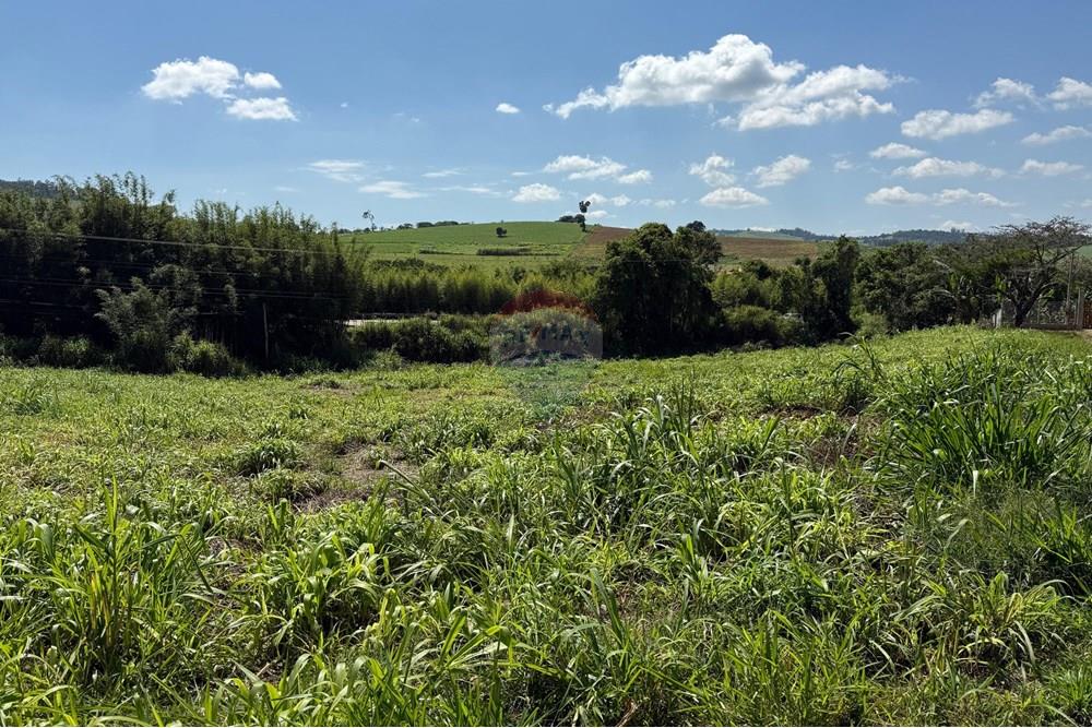 Terreno - Venda - Tuiuti , São Paulo - lote t 1.jpeg - 690041137-57