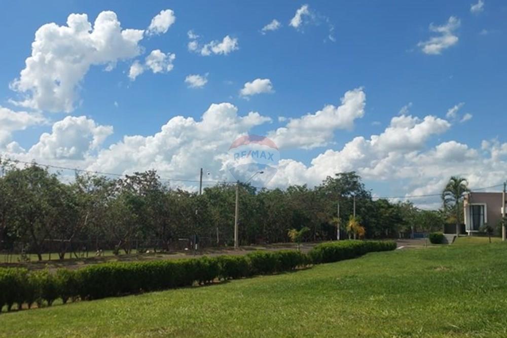Terreno - Venda - Araraquara , São Paulo - 6728f4d6-786e-49c2-a719-91f2dfb619b3.jpg - 690151052-64