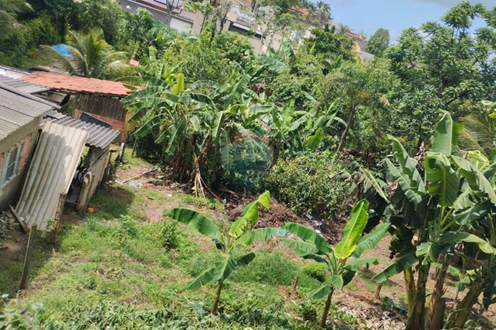 Terreno - Venda - Registro , São Paulo - WhatsApp Image 2026-01-20 at 10.32.32.jpeg - 690061040-37