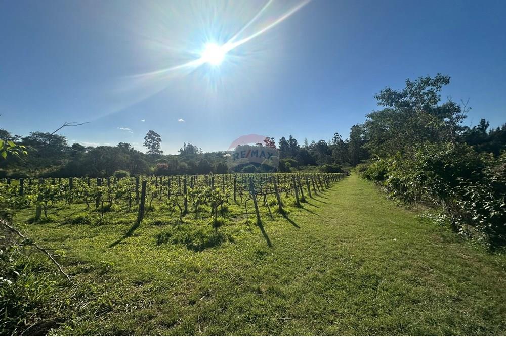 Chácara / Sítio / Fazenda - Venda - Jundiaí , São Paulo - WhatsApp Image 2025-10-23 at 13.29.03 (1).jpeg - 690801041-183