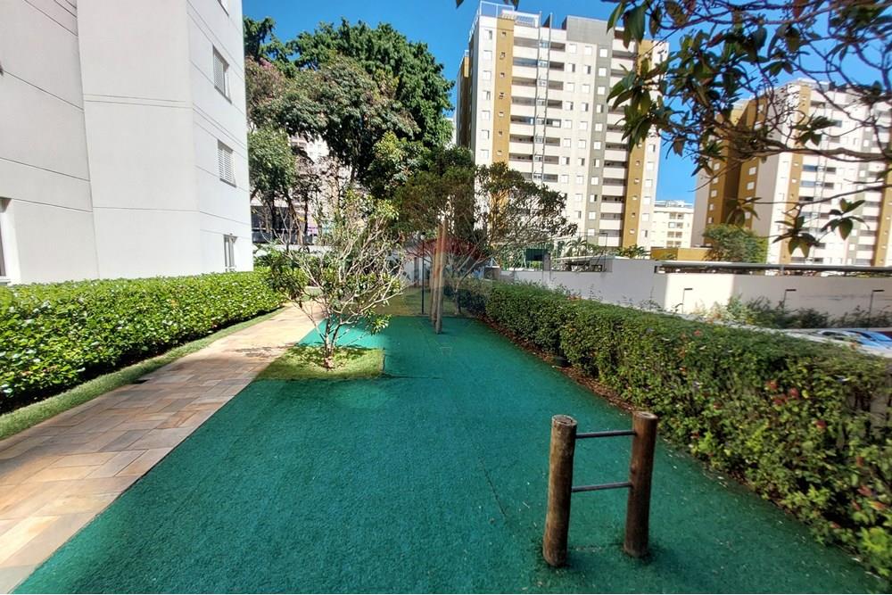 Apartamento - Venda - Campinas , São Paulo - 20250927_094142.jpg - 690181001-433