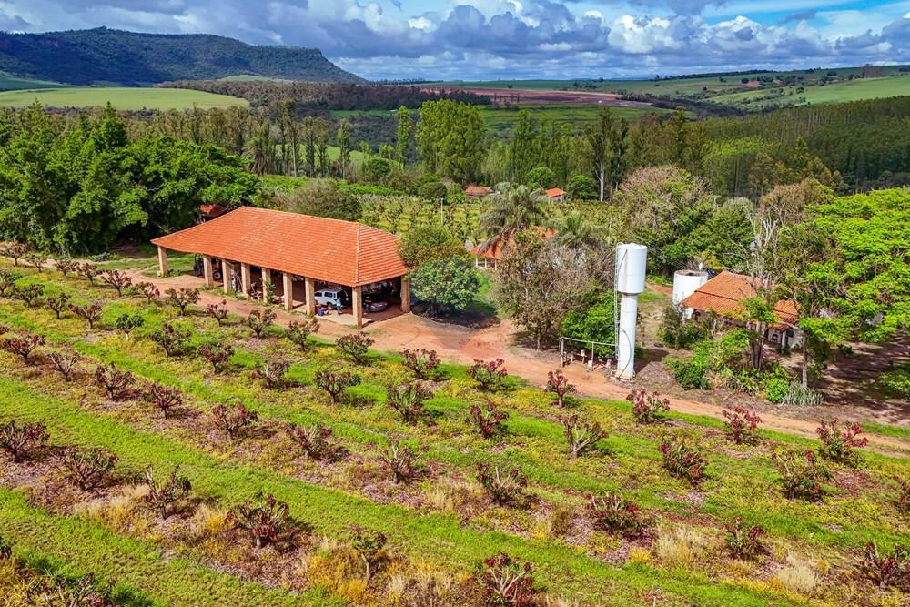 Fazenda - Venda - Analândia , São Paulo - Tratada - Drone-70.jpg - 690691016-305