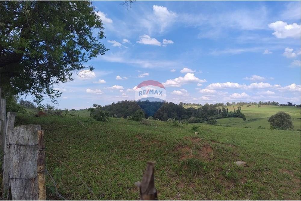 Terreno - Alugar - Campinas , São Paulo - L_2d44fedf-39fb-4aff-9961-90f35c01b8de.jpg - 690531106-60