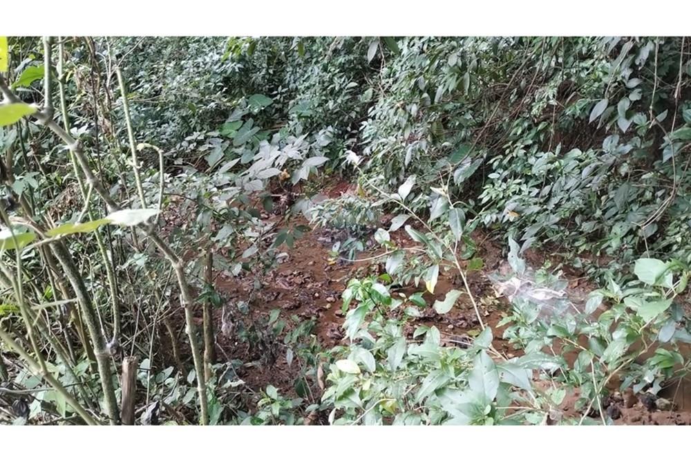 Terreno - Venda - Vinhedo , São Paulo - b80073a5-4b40-428d-bf33-838eeab2a182.jpg - 690851008-487