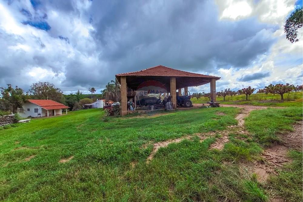 Fazenda - Venda - Analândia , São Paulo - Tratada-21.jpg - 690691016-305