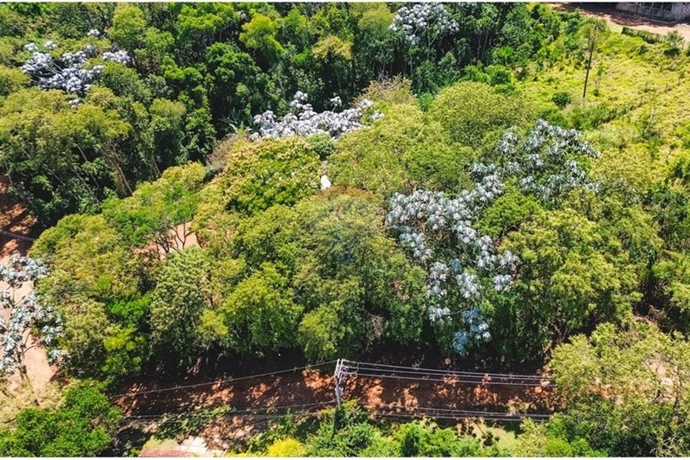 Terreno - Venda - Piracaia , São Paulo - dji_fly_20251127_100356_904_1764648868095_photo_optimized.jpg - 691011009-44