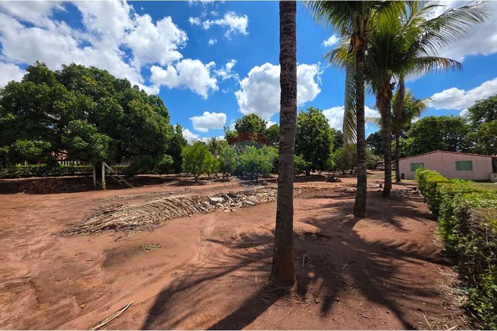 Terreno - Venda - Mogi Mirim , São Paulo - Imagem do WhatsApp de 2025-10-02 à(s) 17.37.52_49169c69.jpg - 690751109-7