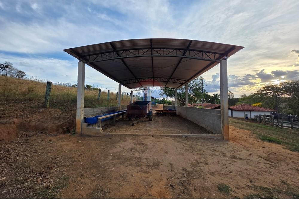 Chácara / Sítio / Fazenda - Venda - Itapira , São Paulo - 20250902_172117.jpg - 690521005-184