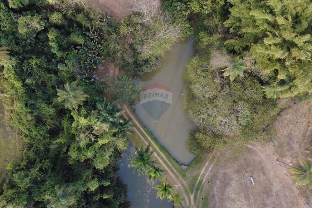 Chácara / Sítio / Fazenda - Venda - Itapira , São Paulo - DJI_0442.JPG - 690521005-184