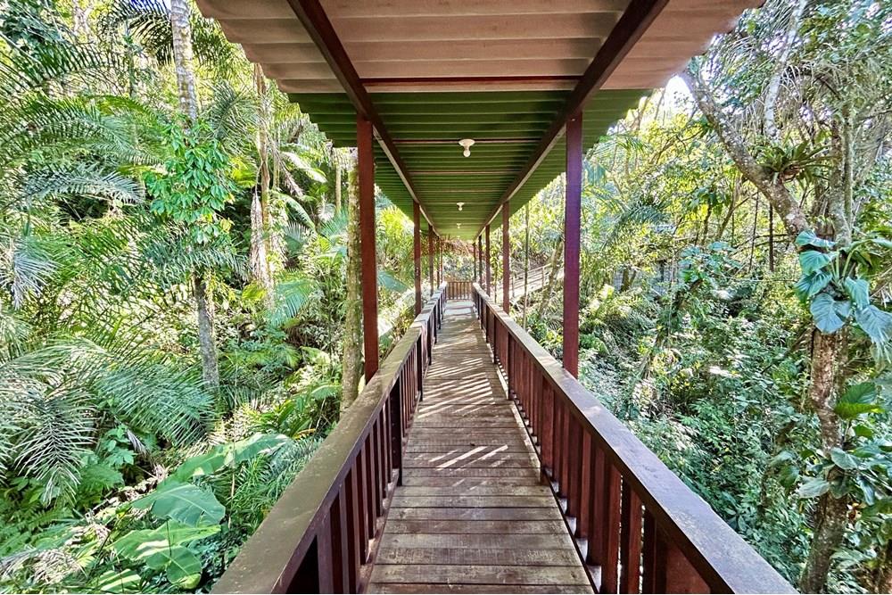 Casa de Condomínio - Venda - Guarujá , São Paulo - IMG_1439.jpeg - 690981024-372