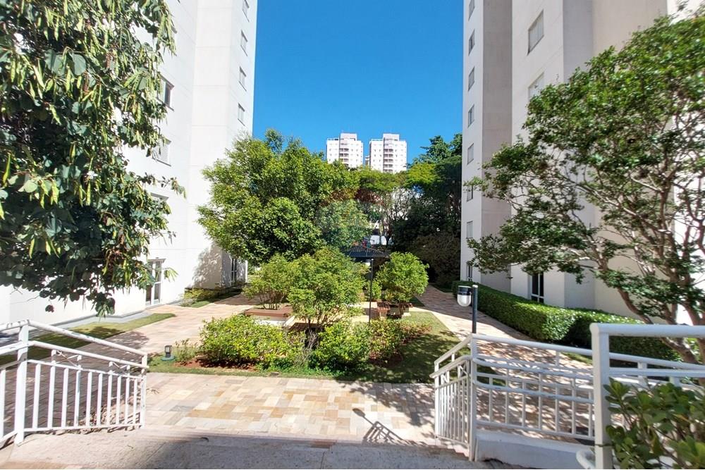 Apartamento - Venda - Campinas , São Paulo - 20250927_093718.jpg - 690181001-433